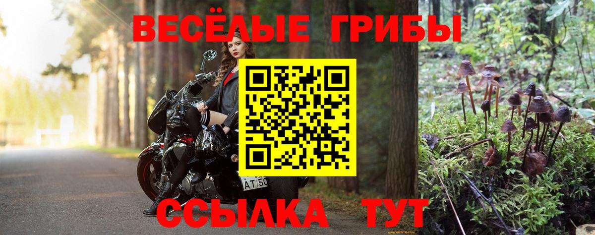 Галлюциногенные грибы мицелий Амурск